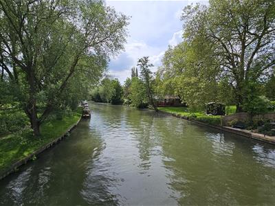 Picture 9